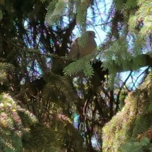 Meet your Posher, Gianna